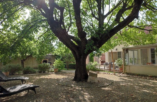 Le Gîte du Tilleul