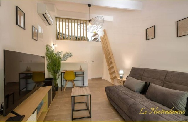 Le Nostradamus - Magnificent downtown apartment with parking