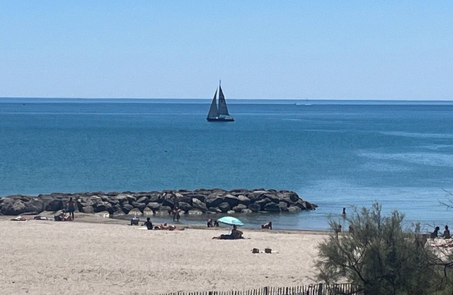 Le petit Albatros 3* : Sea view-Parking-Clim