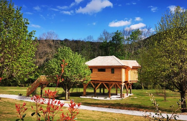 Les Cabanes Suspendues