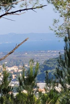 les Marronniers