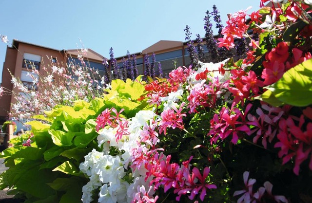 LES TERRASSES DE BORDA***