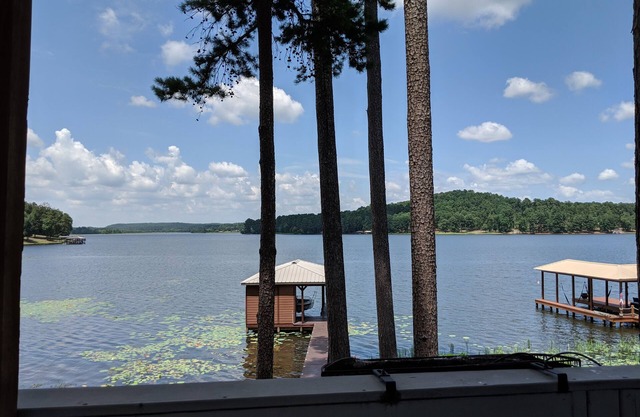 Lilly's Pad at Lone Star Lake