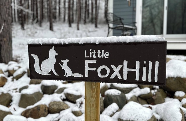 Little Fox Hill - a tiny house in the woods by a brook