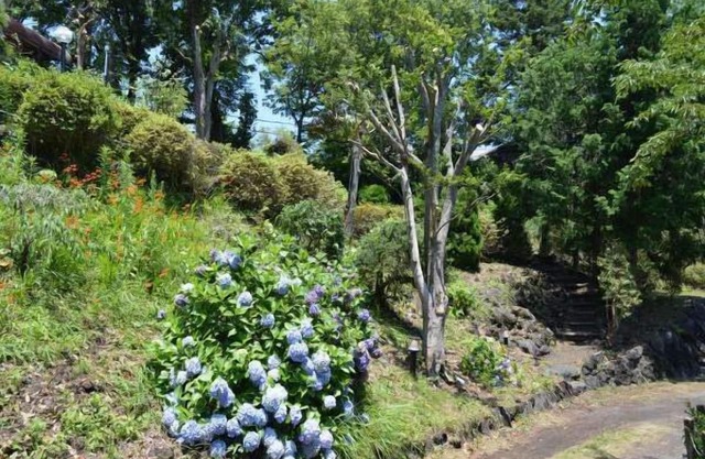 LiVEMAX RESORT Izu-kogen