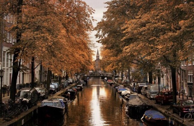 Located in one of the most popular areas of Amsterdam, Oud West