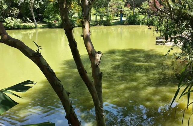 Location for events, churches, social gatherings, weddings, businesses, schools.