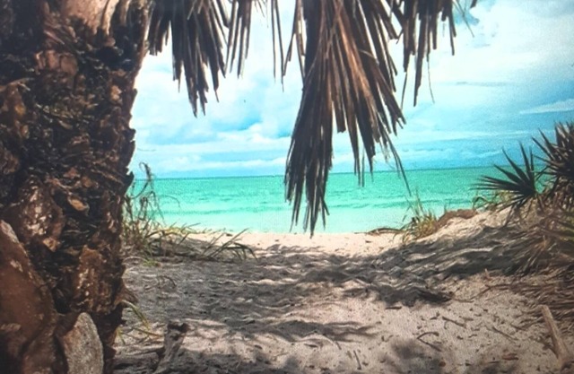 location, location Dream Vacation on Beautiful Venice Island