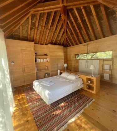 Lodge dans les arbres