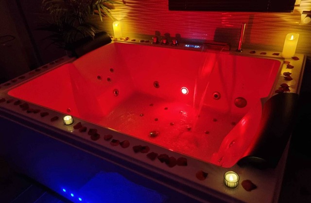 Loft jacuzzi private garden Netflix Wifi 20 minutes from Paris Val d'Oise
