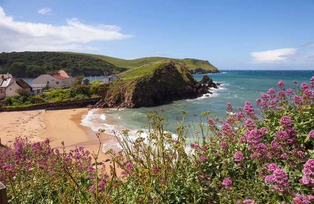 Lovely 3 bedroom detached house in Hope Cove, 150m from sandy beaches