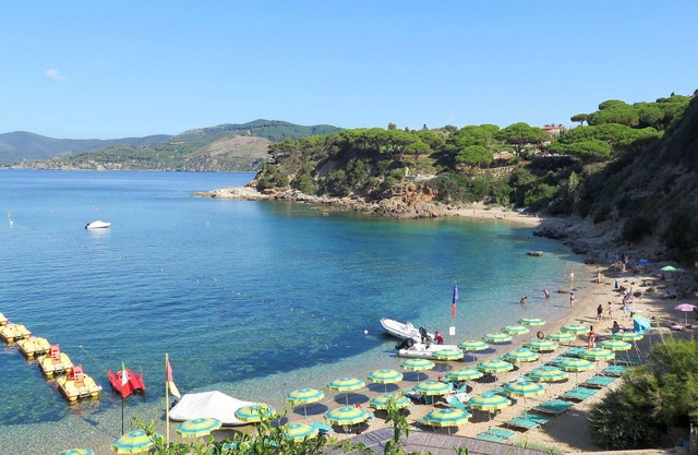 Lovely apartment for 5 guests with WIFI, terrace, pets allowed and parking