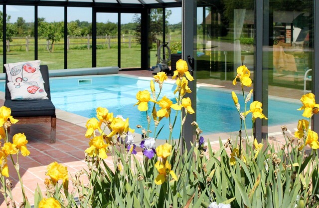 Lovely apartment in villa for 3 guests with WIFI, pool, TV, patio and pets allowed