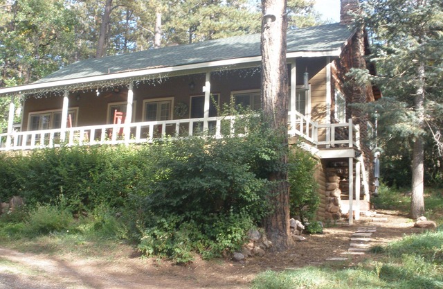 Lovely cabin a midst majestic pine trees