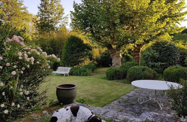 Lovely mill in the heart of the Loire Valley. Close to the city of Blois