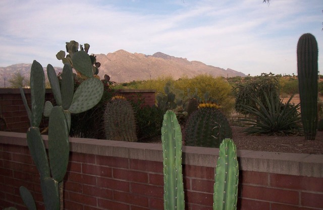 Lovely Two Bedroom Getaway Located On Omni National Golf Course