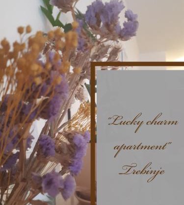 Lucky Charm studio apartment