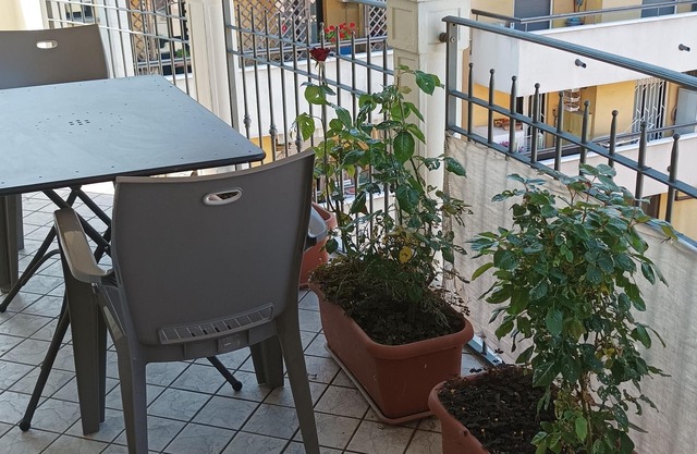 Luna Apartment