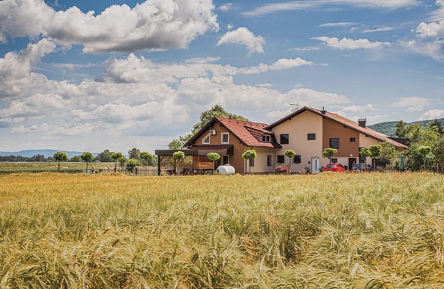 Lux Living Apartments BUDIČ near Terme Čatež