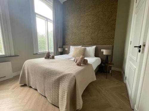 Luxe Suite - New - Safe City Center