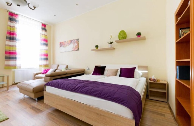 Luxury apartment in the city center
