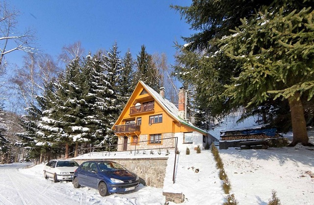 Luxury Chalet near Ski area in Benecko