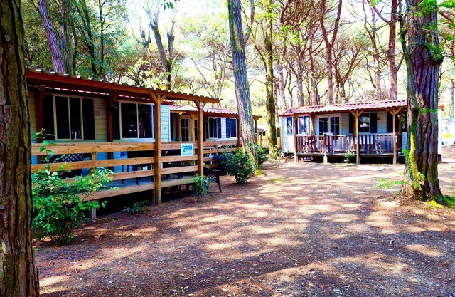 Luxury Chalet near the sea! (no: 724)