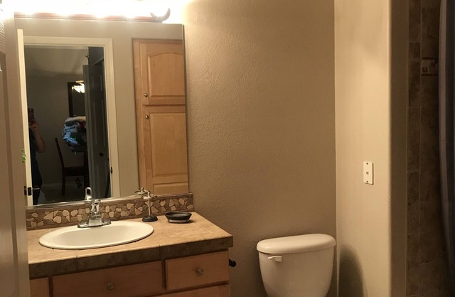 Luxury Condo. Newly remodeled
