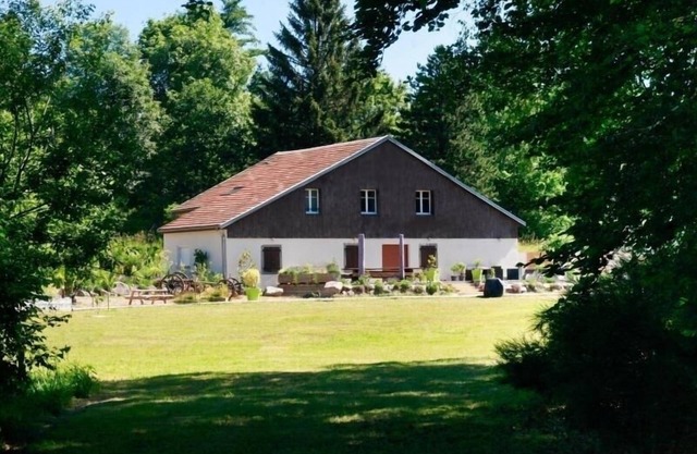 Luxury Vosgian Farmhouse: Sauna, Jacuzzi, Games, Spacious Terrace, Pet-Friendly, Sleeps 16