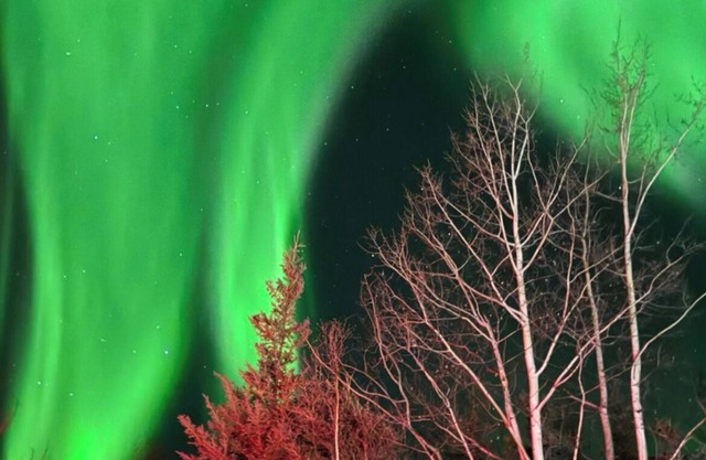 Luxury Northern Light Oasisn
