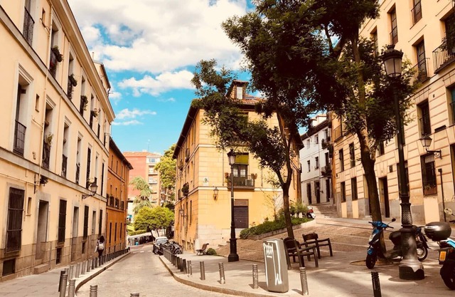 Luxury penthouse with WiFi & AirCon MADRID "LA LATINA"