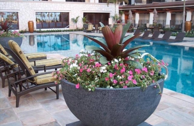 Luxury resort accommodations. Ocean view. You'll never wanna leave.