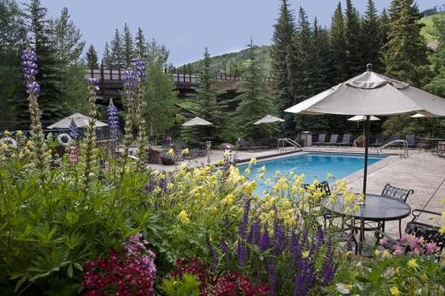 Luxury Ski In, Ski Out 1 Bedroom At Eagle Bahn Gondola