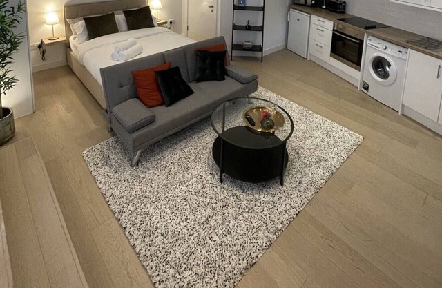 Luxury studio apartment