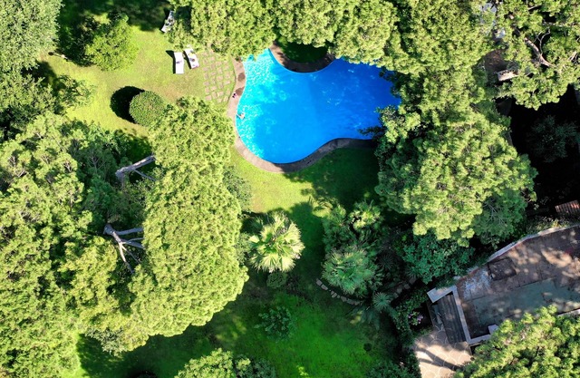 Luxury Villa with Swimming Pool Surrounded by Fregene Ancient Pine Forest