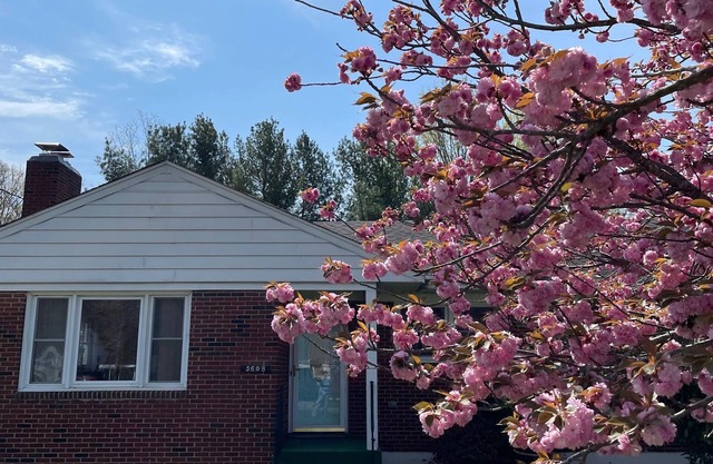 Lynchburg Family Living - close to Liberty University and dining options