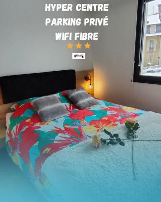 Magnifique 3 étoiles en hyper centre avec place privée