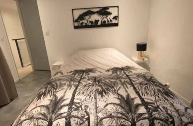 ⭐️Magnifique Duplex in the heart of Béziers⭐️