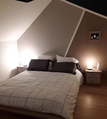Maison bois