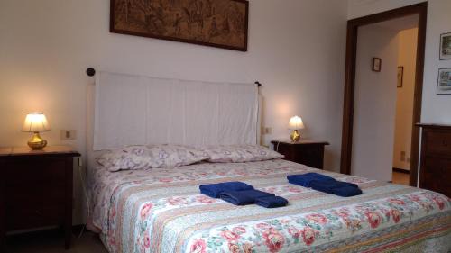 Maison Cisanello