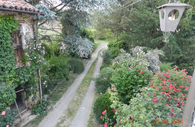 MAMOTA B&B, an oasis in the Langhe.
