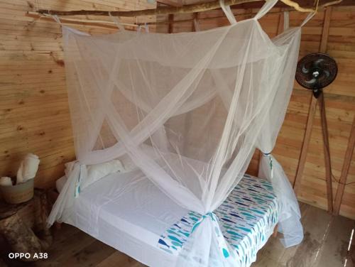Manglar Eco Resort