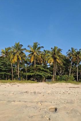Marari Beach Bamboo Rooms AcroYogaThai