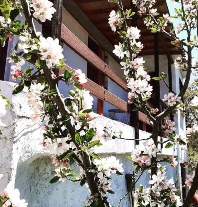 Maro's Guesthouse