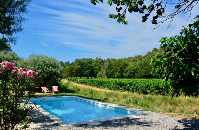 Mas Saint Antoine - Between olives and vines, near Cotignac