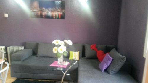 Mateolaura center apartment