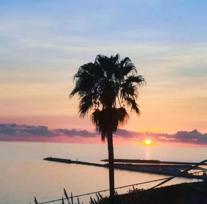 Mediterraneo Travel