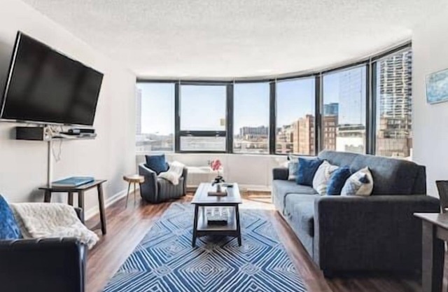 MICH AVE #5|Safe DTown Grant Park, Museums 2bd/2ba