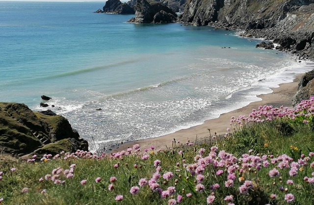 MILL HOUSE BARN, pet friendly, with a garden in Penzance