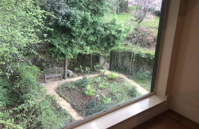 Mill Valley Gem surrounded by nature and hiking, 10 minutes to San Francisco